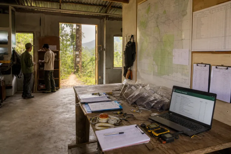 Selling the Canopy: Vietnam Forest Carbon Credits and a Powerful Voluntary Market Opportunity