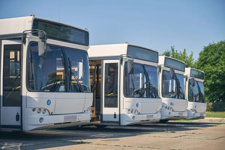 Transport & Mobility