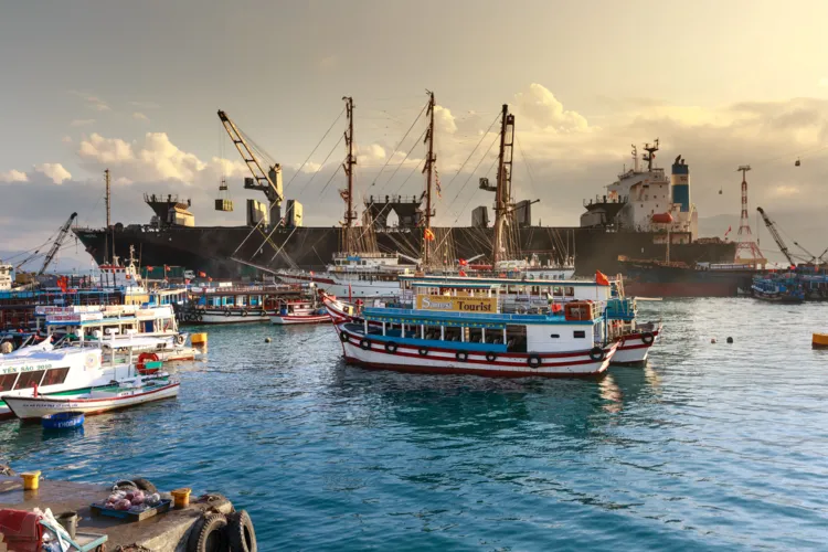 Integrated Growth Vietnam: Unlocking Efficiency Through End-to-End Value Chain Optimization