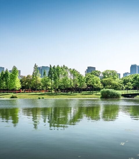 A tranquil lake with lush trees and a bridge, set against the backdrop of an urban city skyline.