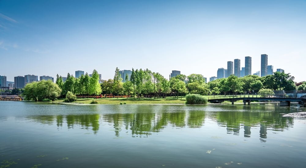 A tranquil lake with lush trees and a bridge, set against the backdrop of an urban city skyline.